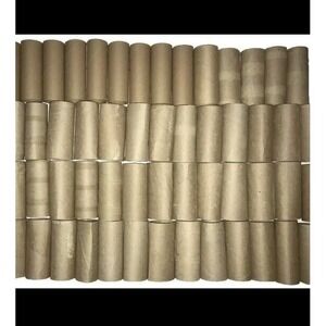 50 Clean Empty Toilet Paper‎ Rolls TP Cardboard Tubes School Crafts Art Projects